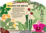Garden Sign-Why Plants Look Different- Download