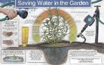 Saving Water in the Garden -PDF File Down