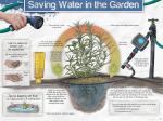 Saving Water in the Garden - AI Download