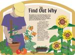 Garden Sign - Find Out Why -PDF download